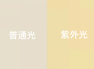 UVY 黃色